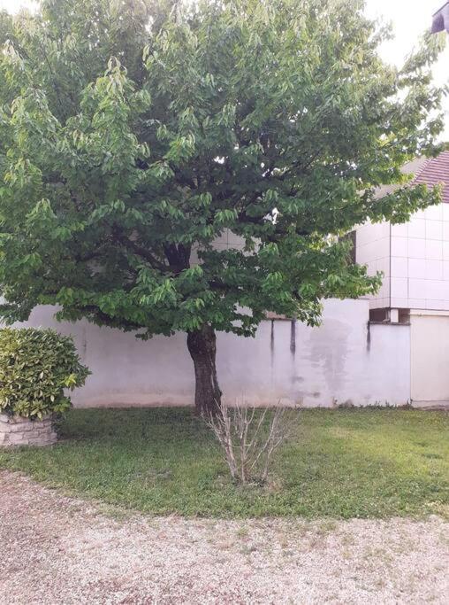Super Logement En Plein Coeur De La Ville , Chez Tify Brienne-le-Chateau Exterior foto